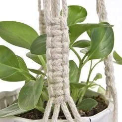 Spieringstore® 4 Stuks Plantenhangers - Boho Handgeweven Katoen Hangpot Voor Binnen/Buiten - Bloempot Met Kralen - Macramé Touw/Koord Hangplant Houder - Bohemian Wandhanger Decoratie - Verticale Tuin Plant Hanger Bloempothouder Planthanger Wit 15 Spieringstore® 4 Stuks Plantenhangers - Boho Handgeweven Katoen Hangpot Voor Binnen/Buiten - Bloempot Met Kralen - Macramé Touw/Koord Hangplant Houder - Bohemian Wandhanger Decoratie - Verticale Tuin Plant Hanger Bloempothouder Planthanger Wit -Bloem Garden Verkoop 1200x1200 270