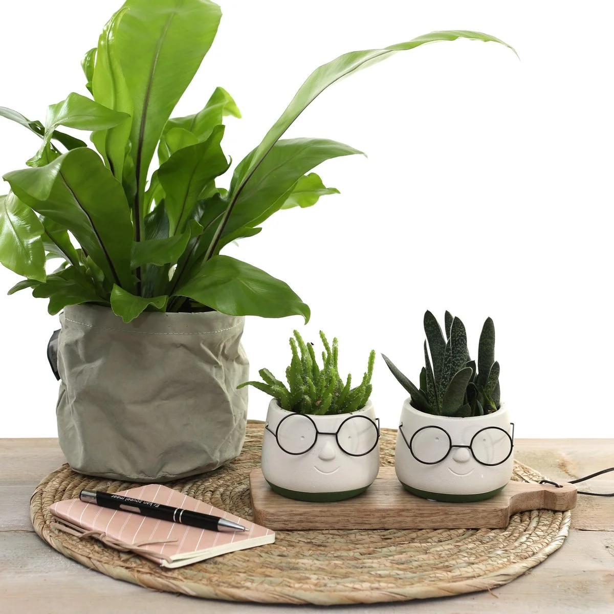 Comforder 2x Bloempot Met Gezicht - Ø8 X H6,5 Cm - Bloempotten Voor Binnen Met Bril/Face/Hoofd 4 Comforder 2x Bloempot Met Gezicht - Ø8 X H6,5 Cm - Bloempotten Voor Binnen Met Bril/Face/Hoofd - Afbeelding 4