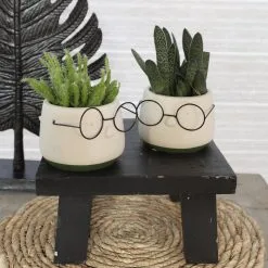 Comforder 2x Bloempot Met Gezicht - Ø8 X H6,5 Cm - Bloempotten Voor Binnen Met Bril/Face/Hoofd 11 Comforder 2x Bloempot Met Gezicht - Ø8 X H6,5 Cm - Bloempotten Voor Binnen Met Bril/Face/Hoofd -Bloem Garden Verkoop 1200x1200 272