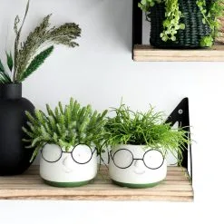 Comforder 2x Bloempot Met Gezicht - Ø8 X H6,5 Cm - Bloempotten Voor Binnen Met Bril/Face/Hoofd 13 Comforder 2x Bloempot Met Gezicht - Ø8 X H6,5 Cm - Bloempotten Voor Binnen Met Bril/Face/Hoofd -Bloem Garden Verkoop 1200x1200 273