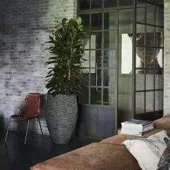 Capi Europe - Vaas Elegant Deluxe Rib NL - 40x60 - Antraciet - Voor Binnen En Buiten - KOFZ1131 -Bloem Garden Verkoop 1200x1200 279