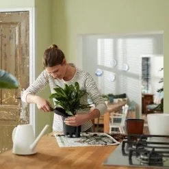 Elho Self-watering Insert 24 - Accessoires Voor Binnenaccessoires - Ø 23.7 X H 22.2 Cm - Zwart/Living Black -Bloem Garden Verkoop 1200x1200 323