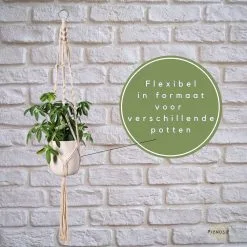 Fienosa® Plantenhanger - Plantenhanger Macrame - Set Van 2 - Wit - Knopen - Luxe Gevlochten Touw - Met Ophang Haken - Fienosa -Bloem Garden Verkoop 1200x1200 344