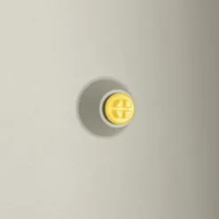 Elho Vivo Structure Finish Lang 90 - Plantenbak Voor Binnen & Buiten - Ø 88 X H 41 - Wit -Bloem Garden Verkoop 1200x1200 354