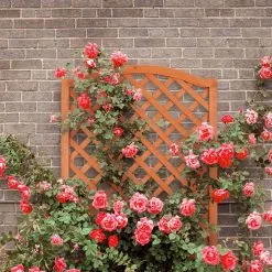 Relaxdays Plantenbak Met Klimrek - Bloembak Trellis - Rankhulp Hout - Voor Klimplanten -Bloem Garden Verkoop 1200x1200 376