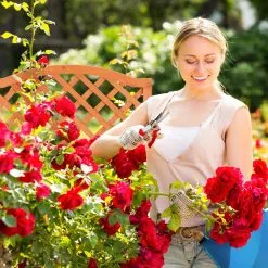 Relaxdays Plantenbak Met Klimrek - Bloembak Trellis - Rankhulp Hout - Voor Klimplanten -Bloem Garden Verkoop 1200x1200 377