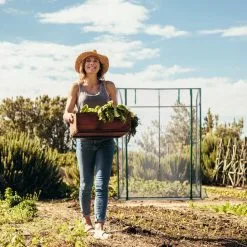 Relaxdays Tomatenkas 170 X 130 X 75 Cm - Folie Tuinkas - Grote Tomaten Kweekkas - Foliekas 15 Relaxdays Tomatenkas 170 X 130 X 75 Cm - Folie Tuinkas - Grote Tomaten Kweekkas - Foliekas -Bloem Garden Verkoop 1200x1200 411