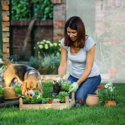 Relaxdays Tomatenkas XL - Met Schuin Dak - Kweekkas Voor Tomaten - Plastic Serre -Bloem Garden Verkoop 1200x1200 479