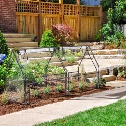 Relaxdays Kweekkas Pvc Met 2 Deuren - Lage Foliekas - Kleine Tuinkas - Plantenkas Tuin 12 Relaxdays Kweekkas Pvc Met 2 Deuren - Lage Foliekas - Kleine Tuinkas - Plantenkas Tuin -Bloem Garden Verkoop 1200x1200 490