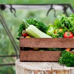 Relaxdays Kweekkas Pvc Met 2 Deuren - Lage Foliekas - Kleine Tuinkas - Plantenkas Tuin 14 Relaxdays Kweekkas Pvc Met 2 Deuren - Lage Foliekas - Kleine Tuinkas - Plantenkas Tuin -Bloem Garden Verkoop 1200x1200 492