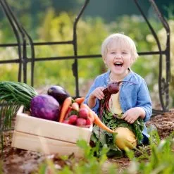 Relaxdays Kweekkas Pvc Met 2 Deuren - Lage Foliekas - Kleine Tuinkas - Plantenkas Tuin 15 Relaxdays Kweekkas Pvc Met 2 Deuren - Lage Foliekas - Kleine Tuinkas - Plantenkas Tuin -Bloem Garden Verkoop 1200x1200 493