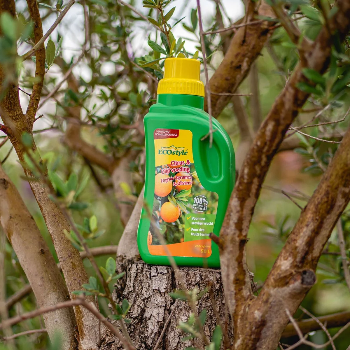 ECOstyle Citrus & Olijf Voeding - Stevige Vrucht - Langdurige Werking - Voor Alle Mediterrane Planten En Bomen 500 ML 3 ECOstyle Citrus & Olijf Voeding - Stevige Vrucht - Langdurige Werking - Voor Alle Mediterrane Planten En Bomen 500 ML - Afbeelding 3