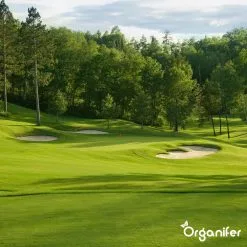 Gazonmest All-In-One (5Kg - Voor 100m2) Voor Een Diepgroen Sterk Gazon Zonder Mos En Onkruid - Complete Meststof Met Kalk En Grasversterker - Organifer -Bloem Garden Verkoop 1200x1200 565