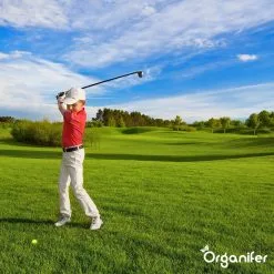 Lavagruis Uit Eifel Oergesteente (20Kg Voor 200m2) Grof Lavameel 0-2mm - Organifer -Bloem Garden Verkoop 1200x1200 581