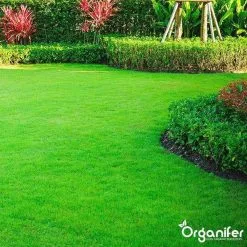 Lavagruis Uit Eifel Oergesteente (20Kg Voor 200m2) Grof Lavameel 0-2mm - Organifer -Bloem Garden Verkoop 1200x1200 585