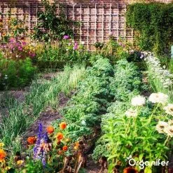 Lavagruis Uit Eifel Oergesteente (20Kg Voor 200m2) Grof Lavameel 0-2mm - Organifer -Bloem Garden Verkoop 1200x1200 587