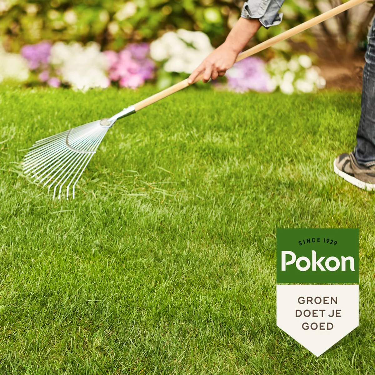 Pokon Gazonmest Met Kalk - 2 X 5kg - Mest - Geschikt Voor 2 X 75m² - 120 Dagen Voeding - Voordeelverpakking 3 Pokon Gazonmest Met Kalk - 2 X 5kg - Mest - Geschikt Voor 2 X 75m² - 120 Dagen Voeding - Voordeelverpakking - Afbeelding 3