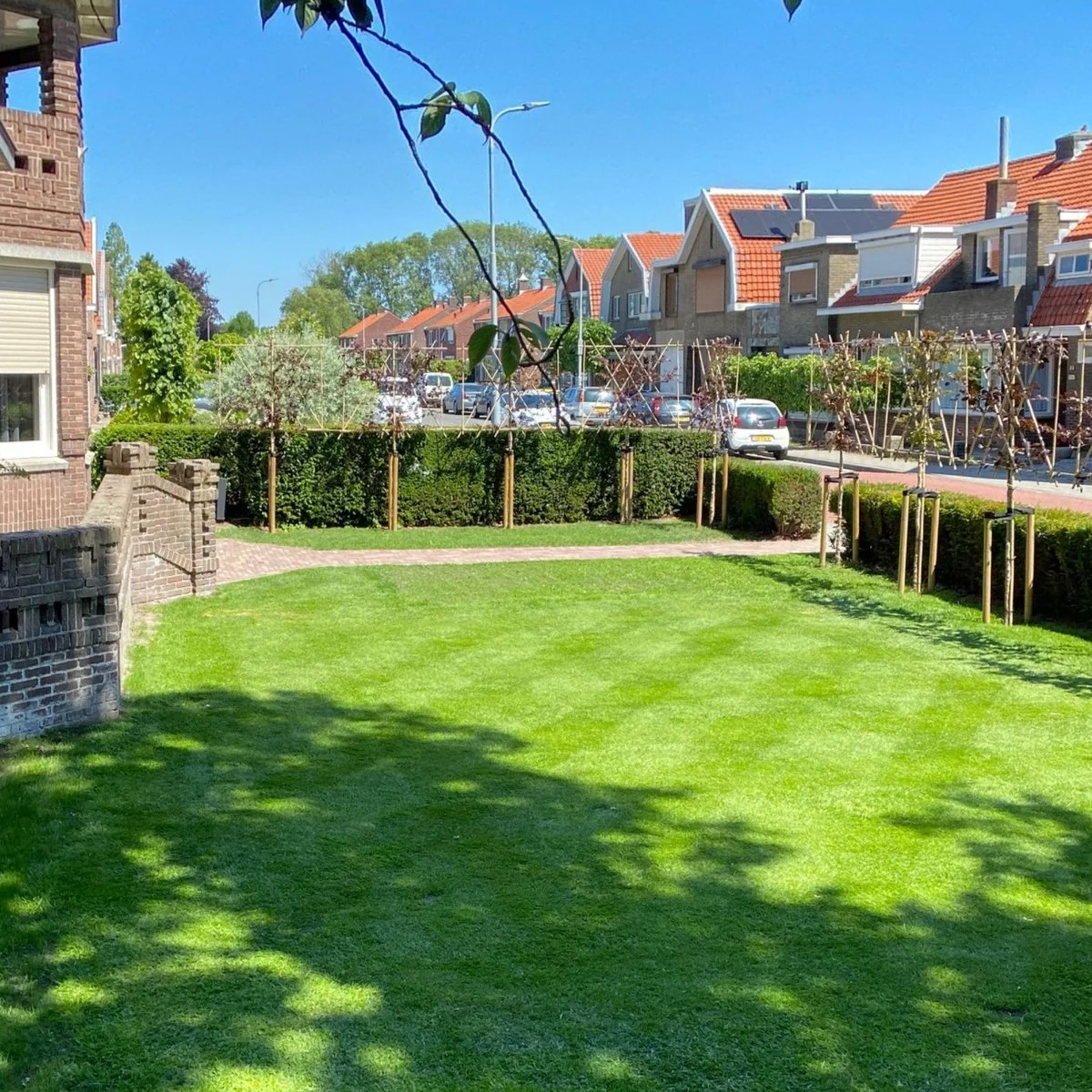 Moowy Snelwerkende Gazonmest Voor 100m² Gras | Meststof Voor Lente En Zomer | Ideaal Voor Meststofstrooier | Gazonbemesting 6 Moowy Snelwerkende Gazonmest Voor 100m² Gras | Meststof Voor Lente En Zomer | Ideaal Voor Meststofstrooier | Gazonbemesting - Afbeelding 6