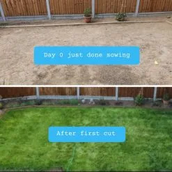 Moowy Snelwerkende Gazonmest Voor 100m² Gras | Meststof Voor Lente En Zomer | Ideaal Voor Meststofstrooier | Gazonbemesting 20 Moowy Snelwerkende Gazonmest Voor 100m² Gras | Meststof Voor Lente En Zomer | Ideaal Voor Meststofstrooier | Gazonbemesting -Bloem Garden Verkoop 1200x1200 610