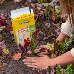 ECOStyle Vinassekali Organische Meststof - Vuor Kaliumtekort - Voor Moestuin, Siertuin En Fruit - Hoger Weerstand Tegen Droogte & Vorst - 15M² - 800 GR -Bloem Garden Verkoop 1200x1200 620