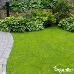 Koemestkorrels 3in1 (20Kg Voor 200m2) Allround Organische Meststof - Direct Opneembare Voeding - Langdurige Werking > 120 Dagen - Geurloos - Verbeterd Bodem - Lavameel Toevoeging - Versterkt Gras En Planten - Organifer -Bloem Garden Verkoop 1200x1200 624