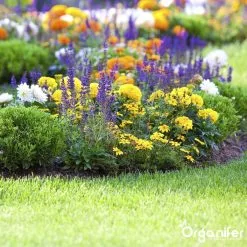 Koemestkorrels 3in1 (20Kg Voor 200m2) Allround Organische Meststof - Direct Opneembare Voeding - Langdurige Werking > 120 Dagen - Geurloos - Verbeterd Bodem - Lavameel Toevoeging - Versterkt Gras En Planten - Organifer -Bloem Garden Verkoop 1200x1200 625