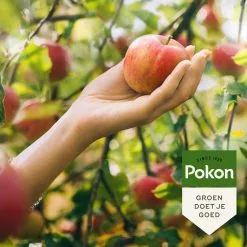 Pokon Bio Fruitbomen Mest - 1kg - Meststof (biologisch) - 120 Dagen Voeding -Bloem Garden Verkoop 1200x1200 633