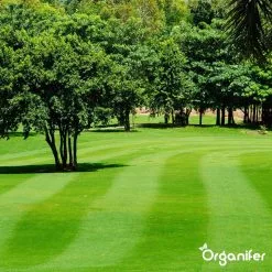 Kalk Korrel Meststof Verrijkt Met Magnesium (20Kg - Voor 400m2) Voor Dieper Bladgroen (+PH) Speciaal Voor Gazon, Perken, Moestuin En Openbaar Groen - Organifer -Bloem Garden Verkoop 1200x1200 645