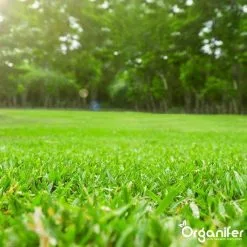 Kalk Korrel Meststof Verrijkt Met Magnesium (20Kg - Voor 400m2) Voor Dieper Bladgroen (+PH) Speciaal Voor Gazon, Perken, Moestuin En Openbaar Groen - Organifer -Bloem Garden Verkoop 1200x1200 649