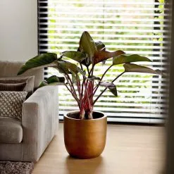 Capi Europe - Bloempot Bol Retro - 23x21 - Goud - Bloempot Voor Binnen - BRTG134 -Bloem Garden Verkoop 1200x1200 65