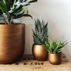 Capi Europe - Bloempot Bol Retro - 23x21 - Goud - Bloempot Voor Binnen - BRTG134 -Bloem Garden Verkoop 1200x1200 66