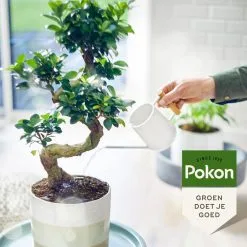 Pokon Bio Bonsai Voeding - 250ml - Plantenvoeding (bio) - 7ml Per 1L Water 12 Pokon Bio Bonsai Voeding - 250ml - Plantenvoeding (bio) - 7ml Per 1L Water -Bloem Garden Verkoop 1200x1200 664