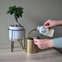 Pokon Bio Bonsai Voeding - 250ml - Plantenvoeding (bio) - 7ml Per 1L Water 13 Pokon Bio Bonsai Voeding - 250ml - Plantenvoeding (bio) - 7ml Per 1L Water -Bloem Garden Verkoop 1200x1200 665