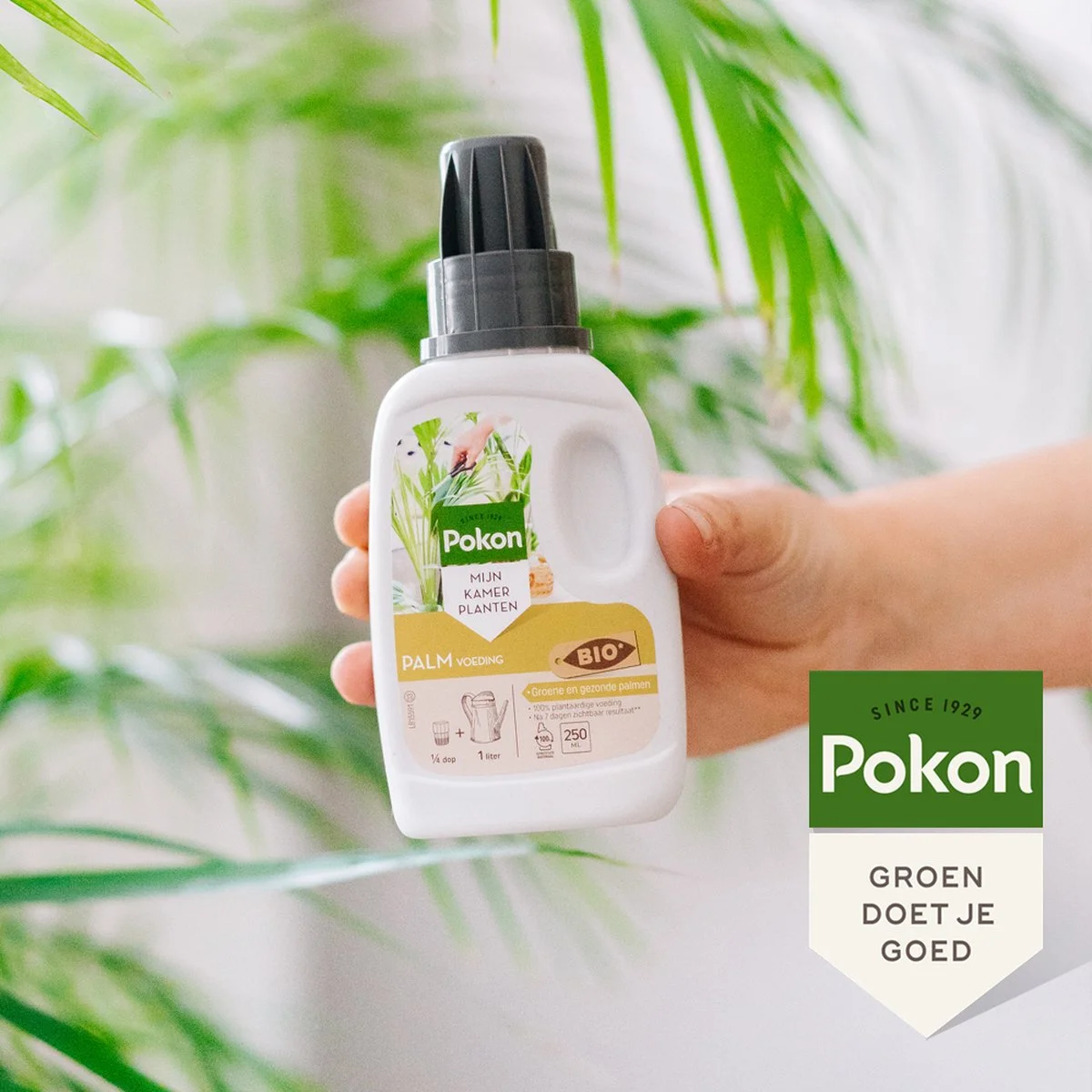 Pokon Bio Palm Voeding - 250ml - Plantenvoeding (bio) - 7ml Per 1L Water 5 Pokon Bio Palm Voeding - 250ml - Plantenvoeding (bio) - 7ml Per 1L Water - Afbeelding 5