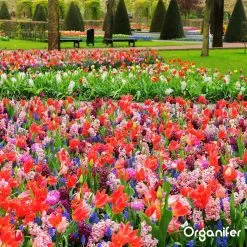 Lavameel Uit Eifel Oergesteente (20Kg Voor 200m2) Organifer -Bloem Garden Verkoop 1200x1200 675