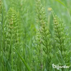 Lavameel Uit Eifel Oergesteente (20Kg Voor 200m2) Organifer -Bloem Garden Verkoop 1200x1200 676