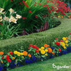 Lavameel Uit Eifel Oergesteente (20Kg Voor 200m2) Organifer -Bloem Garden Verkoop 1200x1200 679