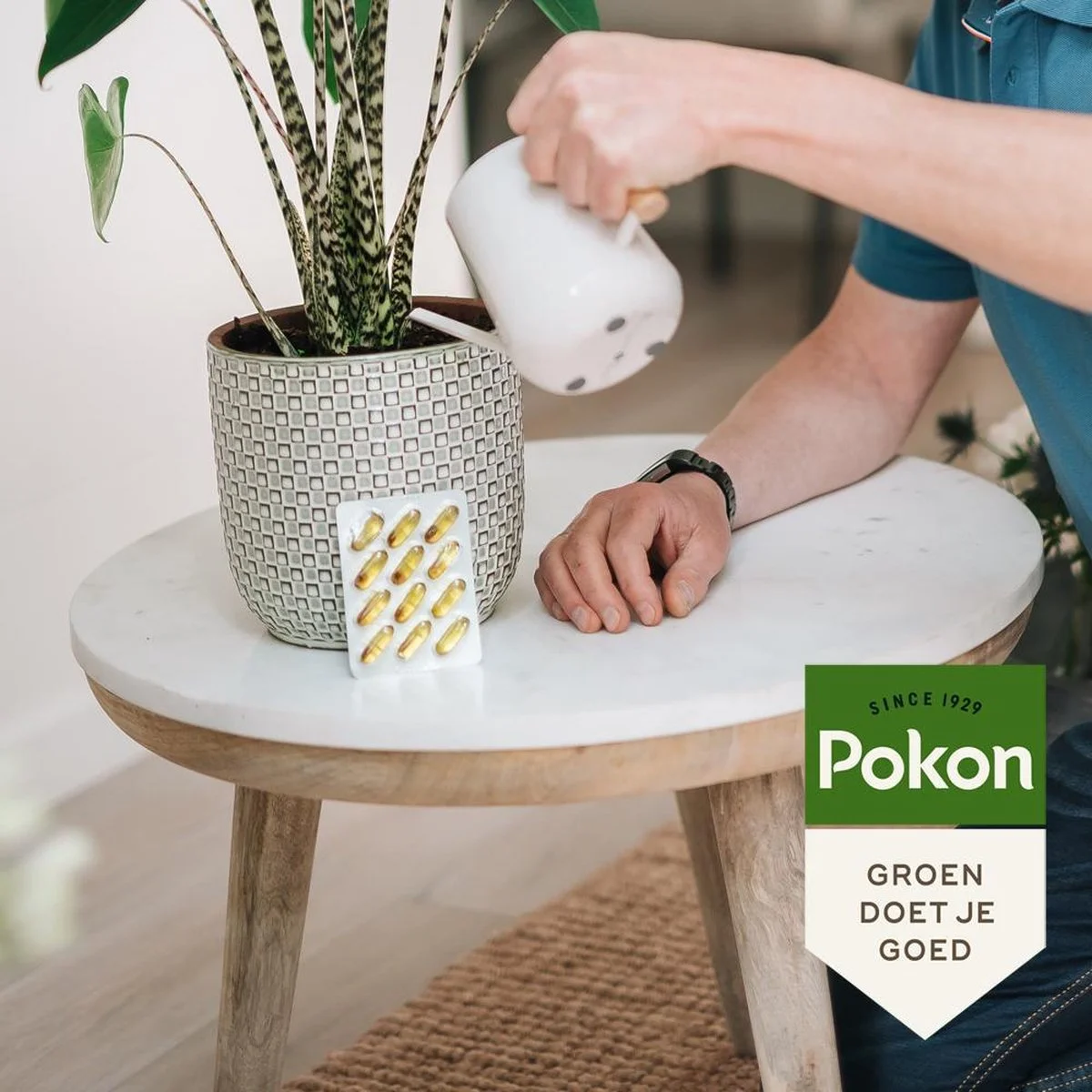 Pokon Bio Kuur Voor Weerbare En Gezonde Kamerplanten - Capsules - 12 Stuks - Geschikt Voor Alle Kamer-, Buitenplanten En Moestuin 4 Pokon Bio Kuur Voor Weerbare En Gezonde Kamerplanten - Capsules - 12 Stuks - Geschikt Voor Alle Kamer-, Buitenplanten En Moestuin - Afbeelding 4