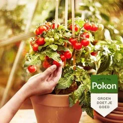 Pokon Bio Moestuin Mest - 1kg - Meststof (biologisch) - 120 Dagen Moestuinvoeding -Bloem Garden Verkoop 1200x1200 706