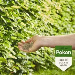 Pokon Beuken & Hagen Mest - 2,5kg - Meststof - 3-in-1 Werking 12 Pokon Beuken & Hagen Mest - 2,5kg - Meststof - 3-in-1 Werking -Bloem Garden Verkoop 1200x1200 714