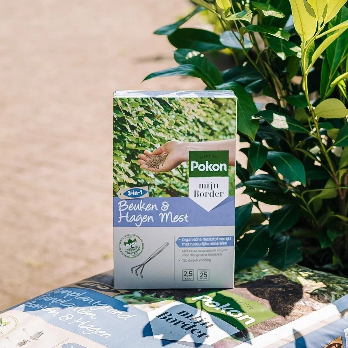 Pokon Beuken & Hagen Mest - 2,5kg - Meststof - 3-in-1 Werking 5 Pokon Beuken & Hagen Mest - 2,5kg - Meststof - 3-in-1 Werking - Afbeelding 5