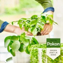 Pokon Bio Groene Planten Voeding - 500ml - Plantenvoeding (bio) - 7ml Per 1L Water 11 Pokon Bio Groene Planten Voeding - 500ml - Plantenvoeding (bio) - 7ml Per 1L Water -Bloem Garden Verkoop 1200x1200 730