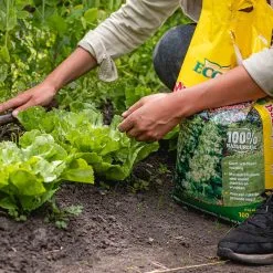 ECOStyle Moestuinmest Voor Eetbare Gewassen - Voor Fruit En Moestuin - Rijk Aan Kalium - 120 Dagen Voeding - 80 M² - 8 KG -Bloem Garden Verkoop 1200x1200 740