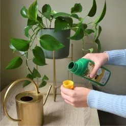 Pokon Kamerplanten Voeding - 500ml - Plantenvoeding - 20ml Per 1L Water 11 Pokon Kamerplanten Voeding - 500ml - Plantenvoeding - 20ml Per 1L Water -Bloem Garden Verkoop 1200x1200 748