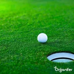 Gazonmest All-In-One (20Kg - Voor 400m2) Voor Een Diepgroen Sterk Gazon Zonder Mos En Onkruid - Complete Meststof Met Kalk En Grasversterker - Organifer -Bloem Garden Verkoop 1200x1200 764