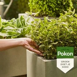 Pokon Voedingskorrels Voor Groene Planten - 800gr - 180 Dagen Voeding - Plantenvoeding -Bloem Garden Verkoop 1200x1200 772