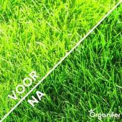 Kalk Korrel Meststof Verrijkt Met Magnesium (5Kg - Voor 100m2) Voor Dieper Bladgroen (+PH) Speciaal Voor Gazon, Perken, Moestuin En Openbaar Groen - Organifer -Bloem Garden Verkoop 1200x1200 791