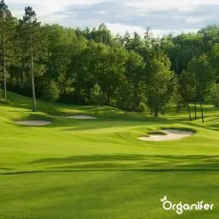 Kalk Korrel Meststof Verrijkt Met Magnesium (5Kg - Voor 100m2) Voor Dieper Bladgroen (+PH) Speciaal Voor Gazon, Perken, Moestuin En Openbaar Groen - Organifer -Bloem Garden Verkoop 1200x1200 795