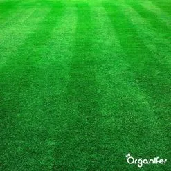 Kalk Korrel Meststof Verrijkt Met Magnesium (5Kg - Voor 100m2) Voor Dieper Bladgroen (+PH) Speciaal Voor Gazon, Perken, Moestuin En Openbaar Groen - Organifer -Bloem Garden Verkoop 1200x1200 800