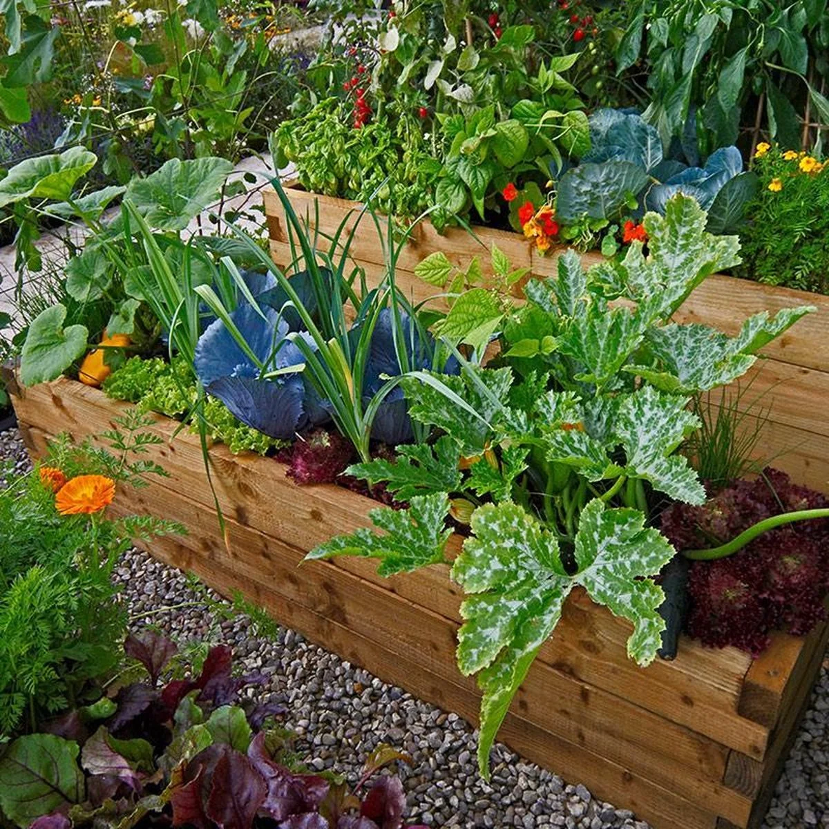 Mycorrhiza Mix Moestuin 200Gr - FungiLife Endomycorrhiza 2 Mycorrhiza Mix Moestuin 200Gr - FungiLife Endomycorrhiza - Afbeelding 2